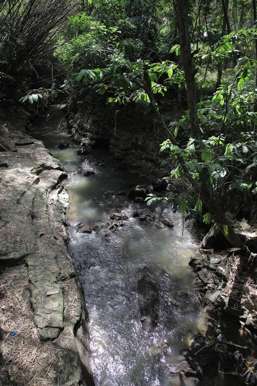 Rumah Senjakala Διαμέρισμα Bantul Εξωτερικό φωτογραφία